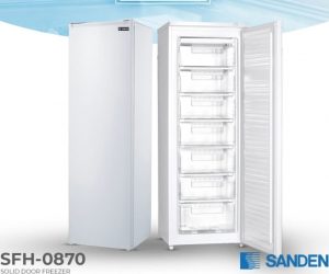Tủ Đông Sanden 245L SFH-0870